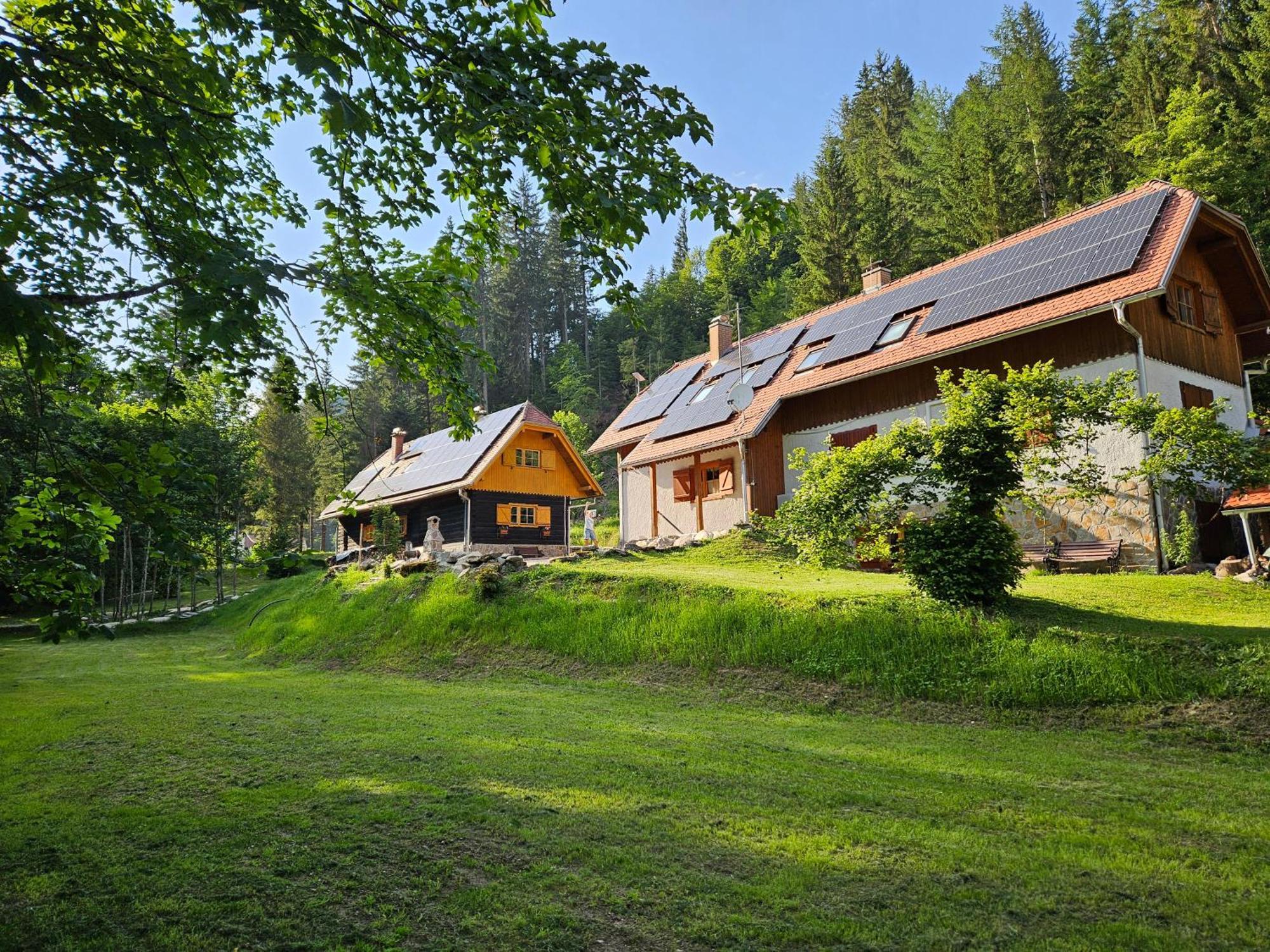 Pohorje House 2 Four Appartmetns Oplotnica Екстер'єр фото