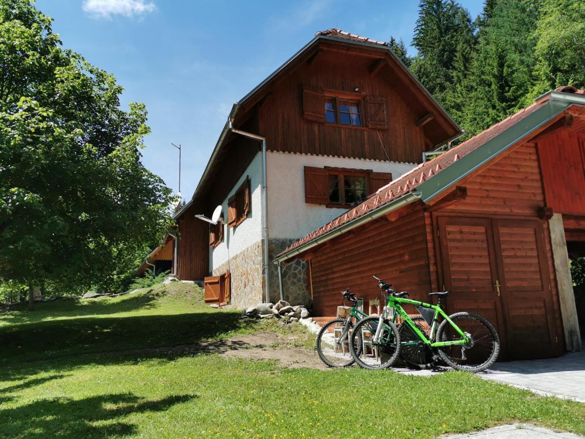 Pohorje House 2 Four Appartmetns Oplotnica Екстер'єр фото